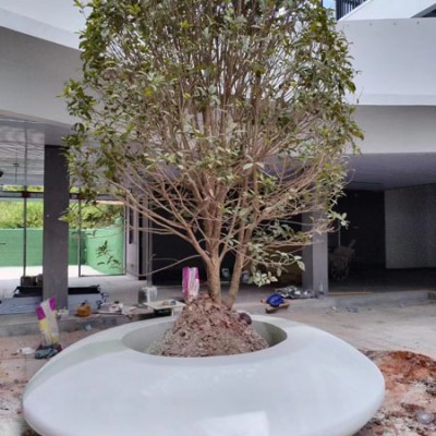 广东海洋大学玻璃钢树池花坛坐凳项目案例